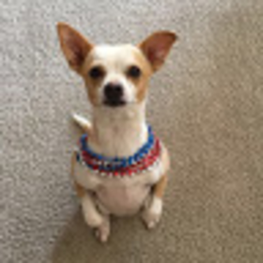 Meet your Posher, Kassandra